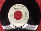 LORRAINE CHANDLER What Can I Do/Tell Me You're Mine RCA 47-8810 DJ VG++ Soul R&B