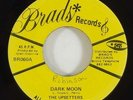 Upsetters 