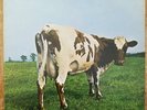 Pink Floyd ATOM HEART MOTHER original vinyl LP. Excellent. EMI Harvest SHVL 781