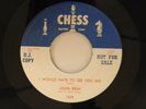 John Brim blues 45 I WOULD HATE TO SEE YOU GO/GOT ME WHERE YOU WANT   Chess VG++