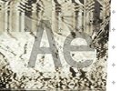 Incunabula [VINYL] Autechre Vinyl