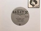 Sadat X - Escape From New York - 7