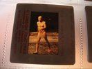 RED HOT CHILI PEPPERS  SLIDE Negative  50mm UK Archive   TRANSPARENCY   So RARE