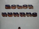 COLOR HUMANO COLOR HUMANO SEALED LP VINYL NEW