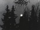 Darkthrone - Panzerfaust