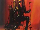 Cramps, The-Flamejob (200 Gram Vinyl Limited Edition)  (US IMPORT)  VINYL LP NEW