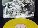 Rage Against The Machine -  RATM 1st Album Yellow Vinyl LP