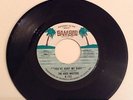 The Voice Masters - You've Hurt Me Baby - (Bamboo)