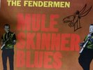 The Fendermen-Mule Skinner Blues-Rare Original Rockabilly LP-Soma 1240-Mono  NM