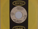 THE REMAINS: Diddy Wah Diddy USA EPIC Garage Freakbeat 45 Promo HEAR