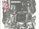 Punk   THE RAMONES   Sheena Is A Punk Rocker   SLEEVE ONLY   1977 NEAR MINT