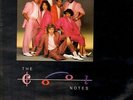 The Cool Notes Have A Good Forever... Intercord Vinyl LP
