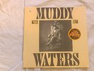 Muddy Waters 
