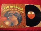Van Morrison Blowin Your Mind  1968 LP Brown Eyed Girl BLP 218