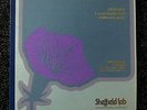 Sheffield LAB 8 / PROKOFIEV - Leinsdorf / Foc. /Direct to Disc