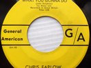 CHRIS FARLOW blues rock 45 WHAT YOU GONNA DO b/w JUST A DREAM mint minus F775