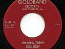 HEAR- Rare Rockabilly 45- Gene Terry & Down Beats- No Mail Today- Goldband #1081