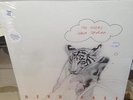 NEKO CASE The Tigers Have Spoken LP TRANS RED VINYL NEW SEALED RSD BF
