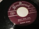 Rare Rockabilly 45 Peanuts Wilson Cast Iron Arm You've Got Love Brunswick label