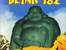 Blink-182 - Buddha 12 Inch Vinyl LP / Album Pink Limited Edition New