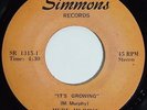 MERV MURPHY It's Growing 45 on Simmons Rare 70s Chicago Soul M-