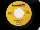 JOE LASTOVICA LOVING YOU POLKA  TRANS AUDIO 7619 LITTLE JOEY'S POLKA 45