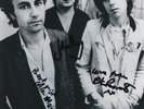 Peter Perrett, John Perry, Alan Mair Hand Signed 12x8 Photo The Only Ones.