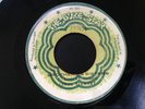 LEROY STEWART/BROTHERS&SISTERS THE BUKE STAR STEPPERS REGGAE 45