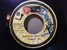 DESMOND IRIE/BABYLON MUST FALL ROOTS REGGAE TR 45