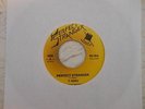 GARAGE/PUNK 45 T. RADU ON ZEB STONE PERFECT STRANGER/WHAT's IN A NAME