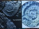 The SUNDAYS 'READING,WRITING.. ORIGINAL 1990 AUSSIE PICTURE DISC LP MINT/UNPLAYD