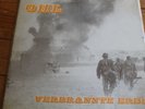 OHL - Verbrannte Erde Vinyl LP Rock o Rama OI Punk Skinhead