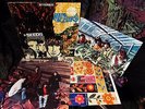 1967 Orig THE SEEDS   FUTURE Psych Garage FLOWER POWER = ACID PSYCHEDELIC LP