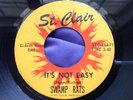 Hear Rare Garage Psych 45 : Swamp Rats   No Friend Of Mine   St.Clair
