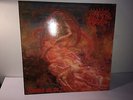 Morbid Angel Blessed are the Sick LP-Vinyl