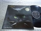 Vinyl LP C.C.CATCH - CATCH THE CATCH 1986 HANSA Incl.7 Maxi-Versions