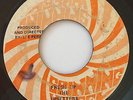UPSETTERS - FRESH UP - SPINNING WHEEL ( EARLY REGGAE INST 7 )