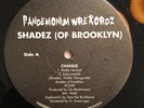 SHADEZ OF BROOKLYN Change BEATMINERZ When It Rains It Pours rap random hip hop