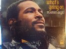 MARVIN GAYE LP * WHAT'S GOING ON * 1ST PRESS * TAMLA  TS310 * GORGEOUS