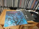 AMON DUUL II - PHALLUS DEI 1969 1st Press Krautrock Monster Mint