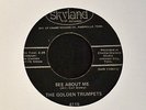 HEAR MP3 BLACK GOSPEL SOUL Golden Trumpets Skyland 4119 See About Me