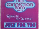 NEW CONNECTION BAND VOL 2 Just For You Canadian ISLAND FUNK SOUL LP Rare Listen
