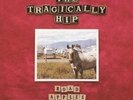 Tragically Hip, The -  Road Apples [180g Audiophile Vinyl]