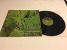 Edgar Froese Ypsilon In Malaysian Pale LP RARE 1975 BRAIN GERMANY BRAIN 1074
