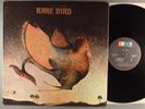 Rare Bird  Self-Titled   Prog Psych