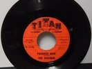 The Surfmen 45 RPM Record Paradise Cove & The Ghost Hop Titan Records Rare