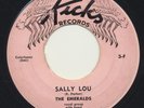 The EMERALDS Sally Lou b/w Why Must I Wonder Doo Wop, R&B 45 single Pink KICKS 3
