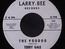 TERRY GALE: The Voodoo / Just 15 45 rare Rock & Pop