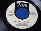 PLYMOUTH ROCKERS Don't say why / Walk a lonely mile VALIANT 737 GARAGE 45 1966