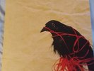Transatlanticism [2LP] by Death Cab for Cutie Vinyl Played Once NM